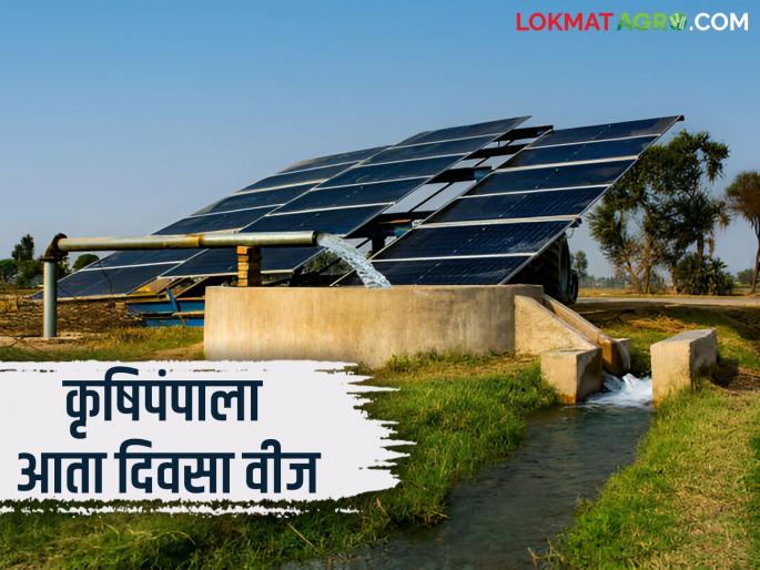 Solar Energy Project: Now the power company will generate solar energy at the substation itself; Farmers will get benefits | Solar Energy Project : आता उपकेंद्रावरच वीज कंपनी करणार सौर उर्जेची निर्मिती; शेतकऱ्यांना मिळणार लाभ Solar Energy Project: Now the power company will generate solar energy at the substation itself; Farmers will get benefits | Solar Energy Project : आता उपकेंद्रावरच वीज कंपनी करणार सौर उर्जेची निर्मिती; शेतकऱ्यांना मिळणार लाभ