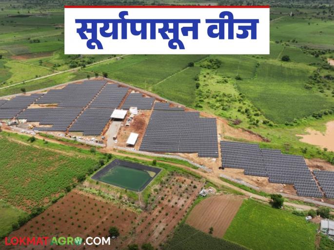 solar power project: Solar power project: The first 3 MW project in the state is in Chhatrapati Sambhajinagar district. Read in detail | Solar Power Project : सौरऊर्जा प्रकल्प : राज्यातील ३ मेगावॅटचा पहिला प्रकल्प छत्रपती संभाजीनगर जिल्ह्यात वाचा सविस्तर solar power project: Solar power project: The first 3 MW project in the state is in Chhatrapati Sambhajinagar district. Read in detail | Solar Power Project : सौरऊर्जा प्रकल्प : राज्यातील ३ मेगावॅटचा पहिला प्रकल्प छत्रपती संभाजीनगर जिल्ह्यात वाचा सविस्तर
