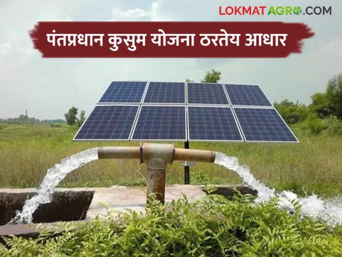 Saur Krushi Pump Yojana : Farmers become power producers; Agricultural pumps are getting round the clock power supply | Saur Krushi Pump Yojana : शेतकरी झाले वीज निर्माते ; कृषी पंपांना मिळतोय चोवीस तास वीजपुरवठा Saur Krushi Pump Yojana : Farmers become power producers; Agricultural pumps are getting round the clock power supply | Saur Krushi Pump Yojana : शेतकरी झाले वीज निर्माते ; कृषी पंपांना मिळतोय चोवीस तास वीजपुरवठा