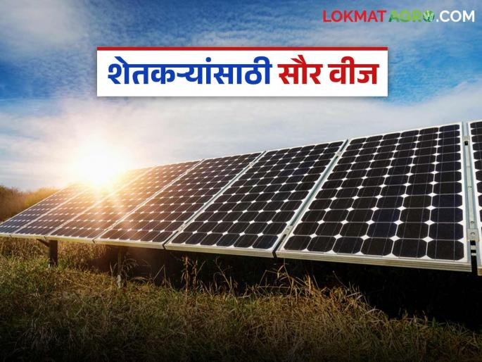 latest news Solar Energy: The light of solar energy in Akola! Solar project at the service of farmers Read in detail | Solar Energy : अकोल्यात सौरऊर्जेचा उजेड! सोलार प्रकल्प शेतकऱ्यांच्या सेवेत वाचा सविस्तर