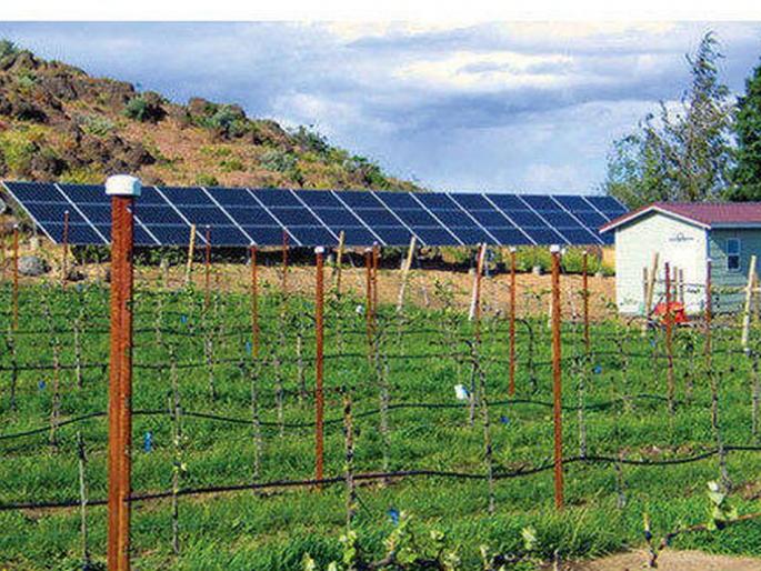 The concept of solar power project to connect electricity to agriculture was lost in the air | कृषीपंपांना वीज जोडणीसाठी सौर विद्यूत प्रकल्पाचा संकल्प हवेतच विरला The concept of solar power project to connect electricity to agriculture was lost in the air | कृषीपंपांना वीज जोडणीसाठी सौर विद्यूत प्रकल्पाचा संकल्प हवेतच विरला