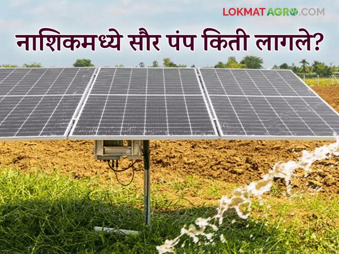 Solar pumps installed for 22 thousand farmers in Nashik district, read in detail | Solar pump Yojana : नाशिक जिल्ह्यातील 22 हजार शेतकऱ्यांचे सौरपंप बसवले, वाचा सविस्तर  Solar pumps installed for 22 thousand farmers in Nashik district, read in detail | Solar pump Yojana : नाशिक जिल्ह्यातील 22 हजार शेतकऱ्यांचे सौरपंप बसवले, वाचा सविस्तर