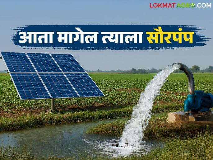 Saur Krushi Pump : Pay ten percent now and get a solar agricultural pump; What is the scheme? | Saur Krushi Pump : आता दहा टक्के रक्कम भरा आणि सौर कृषिपंप मिळवा; काय आहे योजना? Saur Krushi Pump : Pay ten percent now and get a solar agricultural pump; What is the scheme? | Saur Krushi Pump : आता दहा टक्के रक्कम भरा आणि सौर कृषिपंप मिळवा; काय आहे योजना?