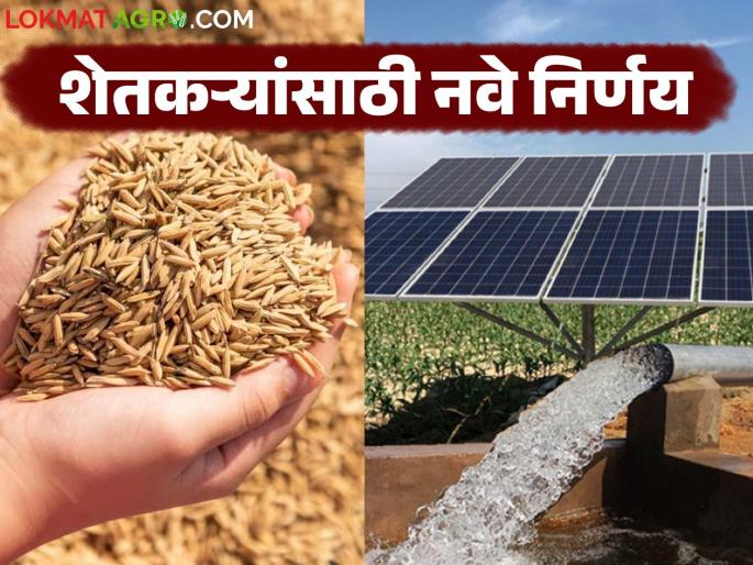 Bonus for paddy producers, approval for solar agricultural pumps up to 10 HP; read in detail | धान उत्पादक शेतकऱ्यांना बोनस तर सौर कृषी पंपांसाठी १० एचपीपर्यंत मान्यता; वाचा सविस्तर