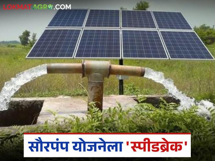 latest news Solar Pump Scheme Delay: 'Speed break' to solar pump scheme; Will the delay affect the provision of water to crops? | Solar Pump Scheme Delay : सौरपंप योजनेला 'स्पीडब्रेक'; विलंबाचा पिकांना पाणी देण्यासाठी फटका बसणार का? वाचा सविस्तर latest news Solar Pump Scheme Delay: 'Speed break' to solar pump scheme; Will the delay affect the provision of water to crops? | Solar Pump Scheme Delay : सौरपंप योजनेला 'स्पीडब्रेक'; विलंबाचा पिकांना पाणी देण्यासाठी फटका बसणार का? वाचा सविस्तर