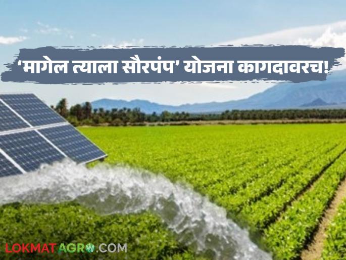 latest news Solar Pump Scheme: Farmers will go on hunger strike after not getting the benefits of the 'Solar Pump' scheme. Read in detail | Solar Pump Scheme: 'मागेल त्याला सौरपंप' योजनेचा लाभ न मिळाल्याने शेतकरी करणार उपोषण वाचा सविस्तर latest news Solar Pump Scheme: Farmers will go on hunger strike after not getting the benefits of the 'Solar Pump' scheme. Read in detail | Solar Pump Scheme: 'मागेल त्याला सौरपंप' योजनेचा लाभ न मिळाल्याने शेतकरी करणार उपोषण वाचा सविस्तर