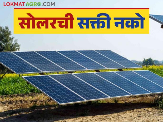 Latest News Agriculture News Farmers should not be forced to use solar Statement to the Chief Minister | Agriculture News : शेतकऱ्यांना सोलरची पूर्णपणे सक्ती नको, कारण.... मुख्यमंत्र्यांना निवेदन 
