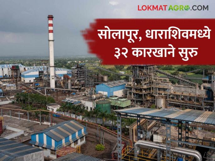 Which Sugar factories in Solapur, Dharashiv district have got sugarcane crushing licenses read in detail | सोलापूर, धाराशिव जिल्ह्यातील कोणकोणत्या कारखान्यांना मिळाले गाळप परवाने वाचा सविस्तर Which Sugar factories in Solapur, Dharashiv district have got sugarcane crushing licenses read in detail | सोलापूर, धाराशिव जिल्ह्यातील कोणकोणत्या कारखान्यांना मिळाले गाळप परवाने वाचा सविस्तर