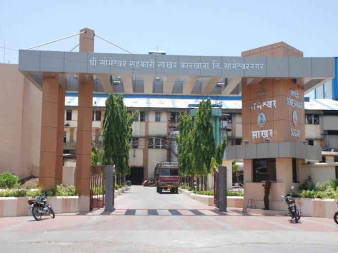 pune news someshwar members will get Rs 3300 per tonne as the first installment | सोमेश्वरच्या सभासदांना पहिल्या हप्त्यापोटी मिळणार टनाला ३३०० रुपये pune news someshwar members will get Rs 3300 per tonne as the first installment | सोमेश्वरच्या सभासदांना पहिल्या हप्त्यापोटी मिळणार टनाला ३३०० रुपये