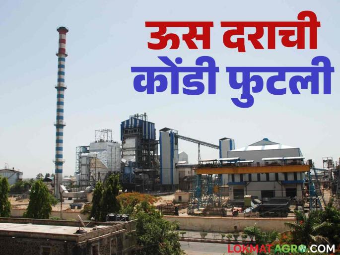 Sugarcane price crisis erupts in Pune district; How much will Someshwar Sugar Factory pay for the first installment? | पुणे जिल्ह्यात ऊसदराची कोंडी फुटली; सोमेश्वर साखर कारखान्याकडून पहिली उचल जाहीर Sugarcane price crisis erupts in Pune district; How much will Someshwar Sugar Factory pay for the first installment? | पुणे जिल्ह्यात ऊसदराची कोंडी फुटली; सोमेश्वर साखर कारखान्याकडून पहिली उचल जाहीर