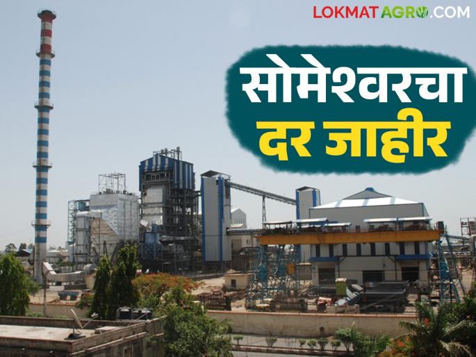 Someshwar factory's rates for sugarcane for the current crushing season announced; Money in farmers' accounts before March | चालू गाळप हंगामातील उसासाठी सोमेश्वर कारखान्याचा दर जाहीर; मार्चपूर्वी पैसे शेतकऱ्यांच्या खात्यावर Someshwar factory's rates for sugarcane for the current crushing season announced; Money in farmers' accounts before March | चालू गाळप हंगामातील उसासाठी सोमेश्वर कारखान्याचा दर जाहीर; मार्चपूर्वी पैसे शेतकऱ्यांच्या खात्यावर