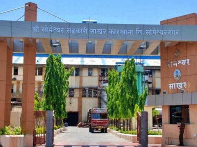 Someshwar Sugar Factory election opposite bjp work | Someshwar Sugar Factory: भाजपकडून चांगल्या कामात मिठाचा खडा टाकण्याचे काम Someshwar Sugar Factory election opposite bjp work | Someshwar Sugar Factory: भाजपकडून चांगल्या कामात मिठाचा खडा टाकण्याचे काम