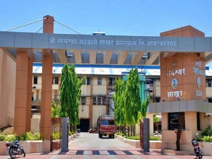 someshwar sugar factory elections ncp baramati | सोमेश्वर कारखाना निवडणुकीत पक्षविरोधी भूमिका घेणाऱ्यांची पक्षातून हकालपट्टी होणार का? someshwar sugar factory elections ncp baramati | सोमेश्वर कारखाना निवडणुकीत पक्षविरोधी भूमिका घेणाऱ्यांची पक्षातून हकालपट्टी होणार का?