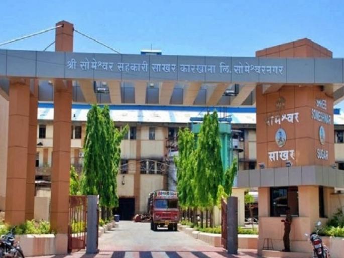 Breaking the sugarcane price dilemma, Someshwar became the highest rate factory in the state | ऊसदराची कोंडी फोडत सोमेश्वर ठरला राज्यात उच्चांकी दर देणारा कारखाना Breaking the sugarcane price dilemma, Someshwar became the highest rate factory in the state | ऊसदराची कोंडी फोडत सोमेश्वर ठरला राज्यात उच्चांकी दर देणारा कारखाना