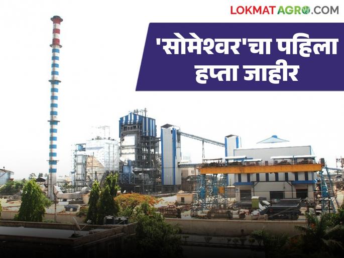 Someshwar factory announces first installment for current cotton season; How was the price paid? | सोमेश्वर कारखान्याकडून चालू गळीत हंगामासाठी पहिला हप्ता जाहीर; कसा दिला दर?
