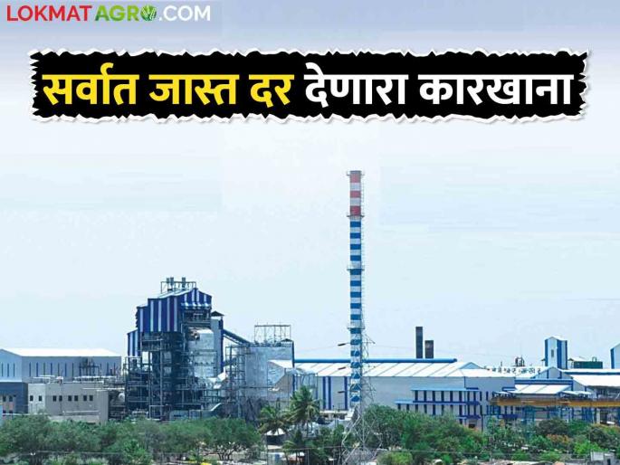 This sugar factory in the state became the number one factory by paying more than FRP | राज्यातील ह्या साखर कारखान्याने दिला एफआरपीपेक्षा जादा दर.. वाचा सविस्तर This sugar factory in the state became the number one factory by paying more than FRP | राज्यातील ह्या साखर कारखान्याने दिला एफआरपीपेक्षा जादा दर.. वाचा सविस्तर