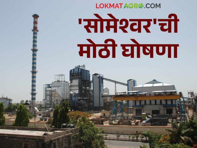 Someshwar Sakhar Karkhana : Someshwar factory will crush all the remaining sugarcane and make payment on time | Someshwar Sakhar Karkhana : सोमेश्वर कारखाना शिल्लक असणाऱ्या संपूर्ण उसाचे गाळप आणि पेमेंट वेळेत करणार Someshwar Sakhar Karkhana : Someshwar factory will crush all the remaining sugarcane and make payment on time | Someshwar Sakhar Karkhana : सोमेश्वर कारखाना शिल्लक असणाऱ्या संपूर्ण उसाचे गाळप आणि पेमेंट वेळेत करणार