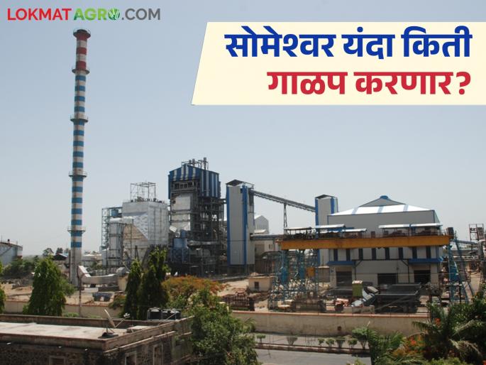 35 thousand acres of sugarcane, 9 thousand 500 tons of crushing capacity; This factory will crush 1.4 million tons this year | ३५ हजार एकर ऊस, ९ हजार ५०० टन गाळप क्षमता; यंदा 'हा' कारखाना करणार १४ लाख टनाचे गाळप 35 thousand acres of sugarcane, 9 thousand 500 tons of crushing capacity; This factory will crush 1.4 million tons this year | ३५ हजार एकर ऊस, ९ हजार ५०० टन गाळप क्षमता; यंदा 'हा' कारखाना करणार १४ लाख टनाचे गाळप