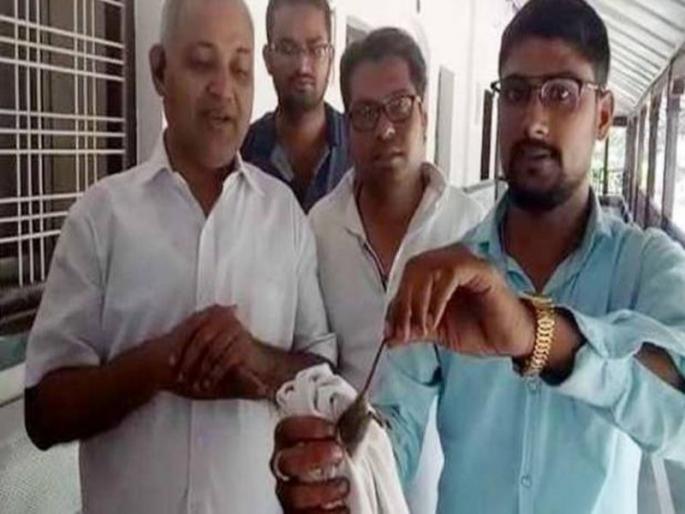 somnath bharti allegations against bjp to attack him with rats in chhattisgarh | सरकारी गेस्ट हाऊसमध्ये 'आप' नेत्याला उंदरांचा चावा, भाजपाची खेळी असल्याचा दावा somnath bharti allegations against bjp to attack him with rats in chhattisgarh | सरकारी गेस्ट हाऊसमध्ये 'आप' नेत्याला उंदरांचा चावा, भाजपाची खेळी असल्याचा दावा