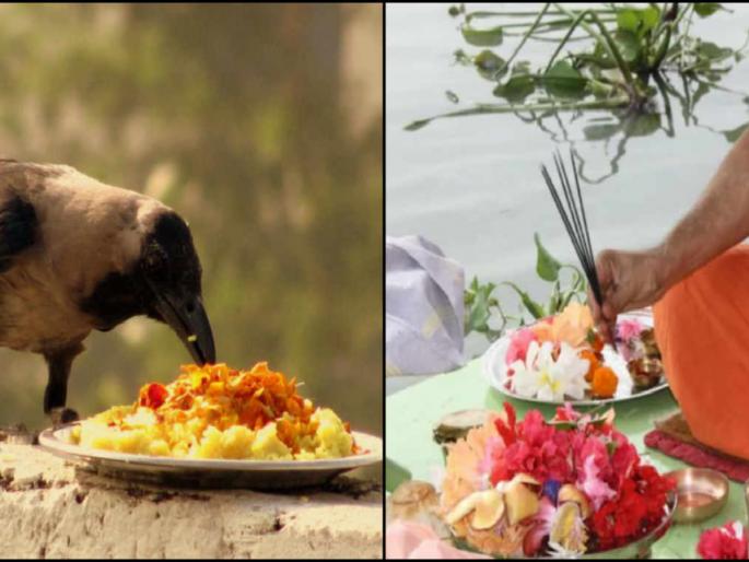 Somvati Amavasya 2022: Worship of Pitras and Tulsi on Somvati Amavasya; Read detailed worship rituals! | Somvati Amavasya 2022 : सोमवती अमावस्येला करा पितरांची तसेच तुळशीची पूजा; वाचा सविस्तर पूजा विधी! Somvati Amavasya 2022: Worship of Pitras and Tulsi on Somvati Amavasya; Read detailed worship rituals! | Somvati Amavasya 2022 : सोमवती अमावस्येला करा पितरांची तसेच तुळशीची पूजा; वाचा सविस्तर पूजा विधी!