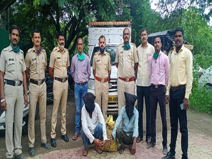 Sonai police nab two sandalwood thieves; 41,000 sandalwood seized with pickup | सोनई पोलिसांनी केले दोन चंदन चोरांना जेरबंद; पीकअपसह ४१ हजारांचे चंदन जप्त Sonai police nab two sandalwood thieves; 41,000 sandalwood seized with pickup | सोनई पोलिसांनी केले दोन चंदन चोरांना जेरबंद; पीकअपसह ४१ हजारांचे चंदन जप्त
