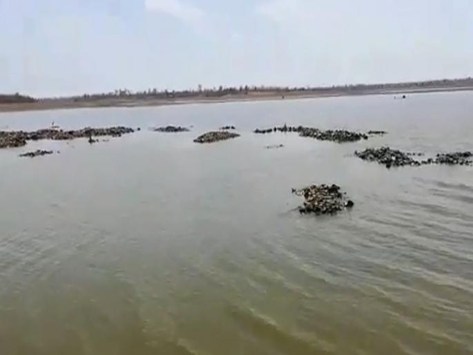 VIDEO: Sonal project in Washim district News | VIDEO : वाशिम जिल्ह्यातील सोनल प्रकल्पातील पाण्याला सुटली दुर्गंधी! VIDEO: Sonal project in Washim district News | VIDEO : वाशिम जिल्ह्यातील सोनल प्रकल्पातील पाण्याला सुटली दुर्गंधी!