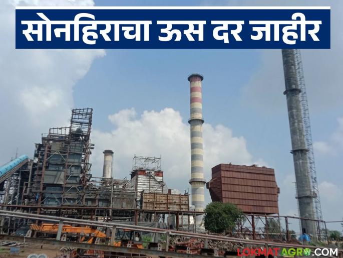 Sonhira Sugar Factory announces sugarcane price for this year's crushing; How was the price determined? | यंदाच्या गाळपासाठी सोनहिरा साखर कारखान्याचा ऊस दर जाहीर; कसा दिला दर?