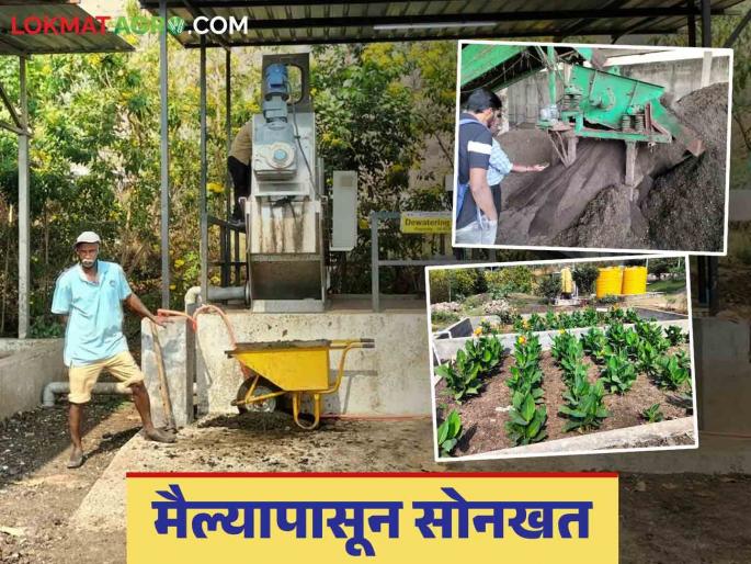 Sonkhat : Fertilizer from garbage depot is proving fruitful; How is Sonkhat made? | Sonkhat : कचरा डेपोतील खत ठरतेय फलदायी; कसे केले जाते सोनखत? Sonkhat : Fertilizer from garbage depot is proving fruitful; How is Sonkhat made? | Sonkhat : कचरा डेपोतील खत ठरतेय फलदायी; कसे केले जाते सोनखत?