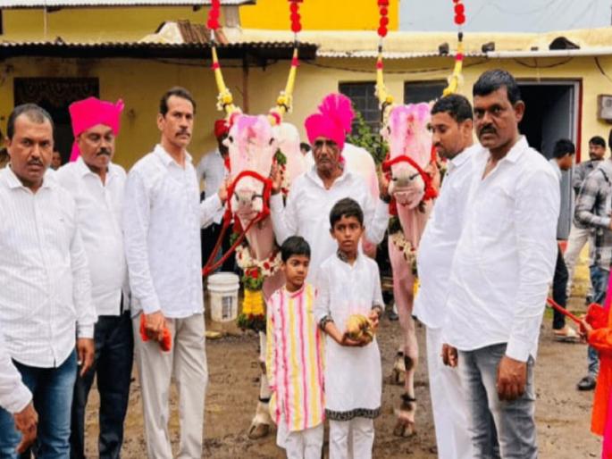 Mauli's chariot is honored this year by Sonya Monya bullock pair Visiting Vithuraya on June 11 | Ashadhi Wari 2023: माऊलींच्या रथाचा मान यंदा 'सोन्या - मोन्या' बैलजोडीला; येत्या ११ जूनला विठुरायाच्या भेटीला Mauli's chariot is honored this year by Sonya Monya bullock pair Visiting Vithuraya on June 11 | Ashadhi Wari 2023: माऊलींच्या रथाचा मान यंदा 'सोन्या - मोन्या' बैलजोडीला; येत्या ११ जूनला विठुरायाच्या भेटीला