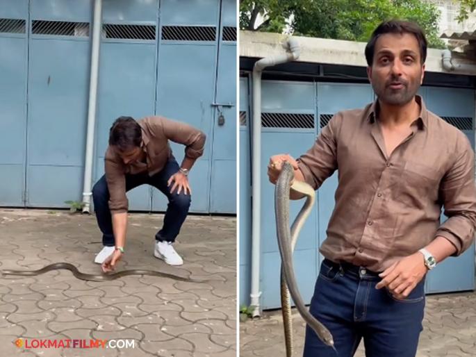 bollywood actor sonu sood caught snake in her society rescue with his hand give advice to fans to do not do yourself video viral | सोनू सूदने हातानेच साप पकडला अन् पोत्यात भरला, नंतर...;  व्हिडीओ पाहून अंगावर येईल काटा