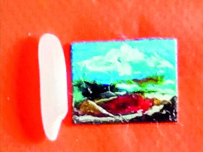 The beauty of Kashmir, built on the size of rice; Record of India Book of World! | तांदळाच्या आकारात साकारले काश्मीरचे सौंदर्य; विक्रमाची नोंद भारत बुक आॅफ वर्ल्ड मध्ये! The beauty of Kashmir, built on the size of rice; Record of India Book of World! | तांदळाच्या आकारात साकारले काश्मीरचे सौंदर्य; विक्रमाची नोंद भारत बुक आॅफ वर्ल्ड मध्ये!