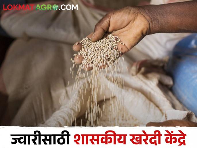 The move to start government sorghum purchase center, what will benefit the farmers? | शासकीय ज्वारी खरेदी केंद्र सुरू होणार का? जिल्हा उपनिबंधक याबाबत काय म्हणाले? वाचा सविस्तर