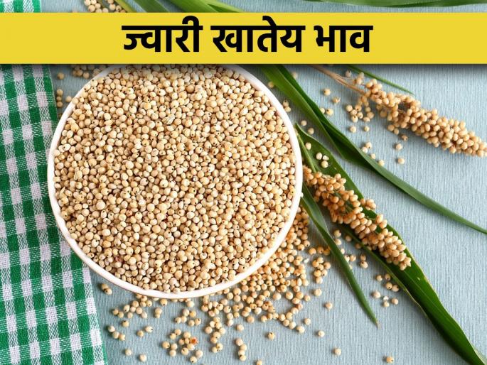 Sorghum got the highest price in the Sangli market committee | सांगली बाजार समितीत ज्वारीला मिळाला उच्चांकी दर
