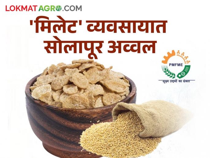 11 thousand 900 industries approved in the state under Pradhan Mantri Micro Food Processing Scheme | प्रधानमंत्री सूक्ष्म अन्न प्रक्रिया योजनेंतर्गत राज्यात ११ हजार ९०० उद्योग मंजूर 11 thousand 900 industries approved in the state under Pradhan Mantri Micro Food Processing Scheme | प्रधानमंत्री सूक्ष्म अन्न प्रक्रिया योजनेंतर्गत राज्यात ११ हजार ९०० उद्योग मंजूर