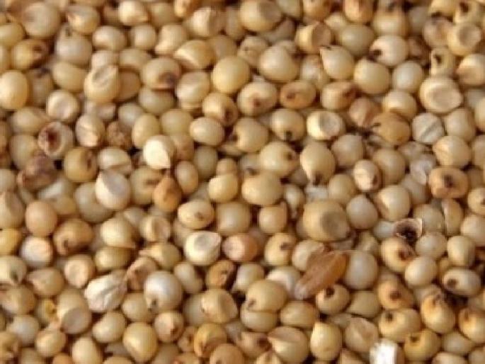 The richness of 'Parbhani Shakti' | ‘परभणी शक्ती’ची श्रीमंती The richness of 'Parbhani Shakti' | ‘परभणी शक्ती’ची श्रीमंती