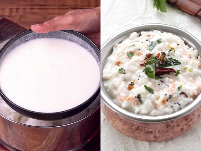 how to enhance the taste of south indian style curd rice, how to make south indian style dahi bhaat | वजन वाढेल म्हणून दही- भात खाणं टाळता? बघा चव आणि पौष्टिकता वाढविणाऱ्या दहीभाताची रेसिपी.. 