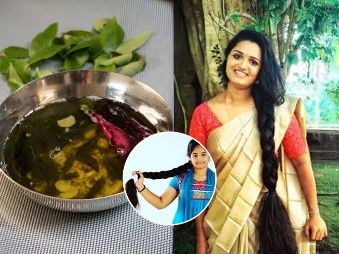 The secret to long hair of South Indian women south indian women hair care routine natural hair oil for long thick hair | साऊथ इंडियन महिलांच्या लांबसडक केसांचे सिक्रेट! तेलात ५ पदार्थ मिसळून लावतात - म्हणून केसांचे सौंदर्य रहाते टिकून...