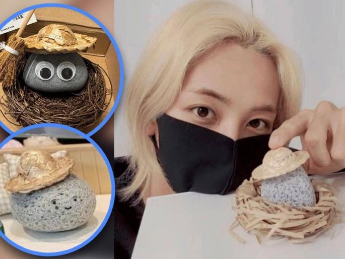 lonely people in south korea keep stones | द. कोरियातले एकेकटे लोक पाळतात 'दगड' lonely people in south korea keep stones | द. कोरियातले एकेकटे लोक पाळतात 'दगड'