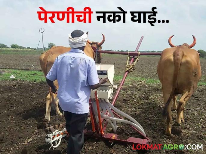Kharif Sowing; Farmers, don't rush sowing.. Sow only after 100 mm of rain | Kharif Sowing शेतकऱ्यांनो, पेरणीची घाई नको.. १०० मिलिमीटर पावसानंतरच पेरणी करा Kharif Sowing; Farmers, don't rush sowing.. Sow only after 100 mm of rain | Kharif Sowing शेतकऱ्यांनो, पेरणीची घाई नको.. १०० मिलिमीटर पावसानंतरच पेरणी करा
