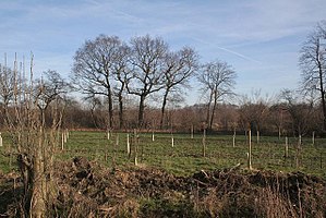 Kharpi sowing in reserved forest area! | राखीव वनक्षेत्रातील जमिनीवर खरीपाची पेरणी! Kharpi sowing in reserved forest area! | राखीव वनक्षेत्रातील जमिनीवर खरीपाची पेरणी!