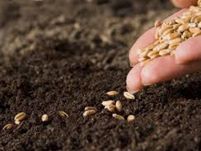 Rabi season affected by return rains; Sowing is delayed | परतीच्या पावसामुळे रब्बीचा हंगाम प्रभावित; पेरणी लांबणीवर Rabi season affected by return rains; Sowing is delayed | परतीच्या पावसामुळे रब्बीचा हंगाम प्रभावित; पेरणी लांबणीवर