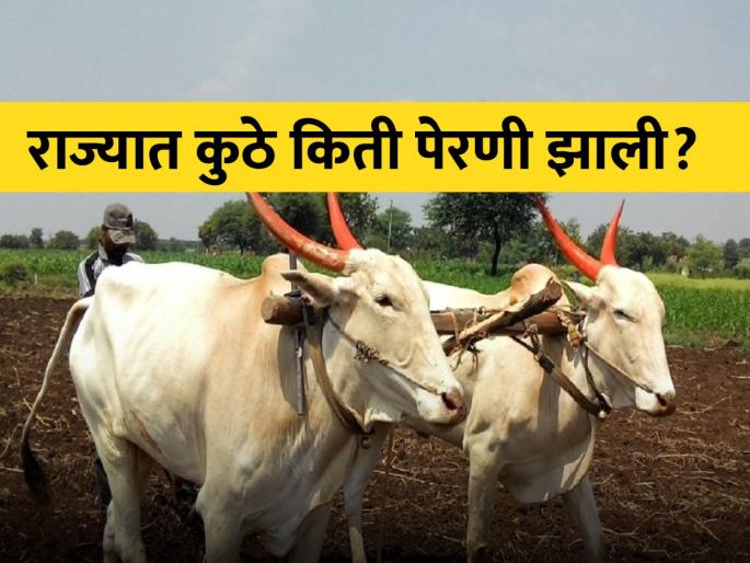 Rabi sowing only 32 percent due to return monsoon rain | परतीच्या पावसाने ओढ दिल्याने रब्बीची पेरणी केवळ ३२ टक्केच! Rabi sowing only 32 percent due to return monsoon rain | परतीच्या पावसाने ओढ दिल्याने रब्बीची पेरणी केवळ ३२ टक्केच!