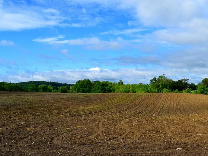 In the state, 8 percent of the area is not sown, 12 lakh hectares were damaged due to heavy rains | राज्यात ८ टक्के क्षेत्रावर पेरणीच नाही, १२ लाख हेक्टरवर अतिवृष्टीने नुकसान