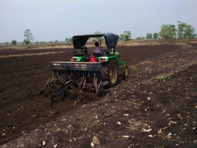 In Hingoli district, only 78 per cent of sowing of Rabi is complete | हिंगोली जिल्ह्यात रबीच्या ७८ टक्के पेरण्याच पूर्ण