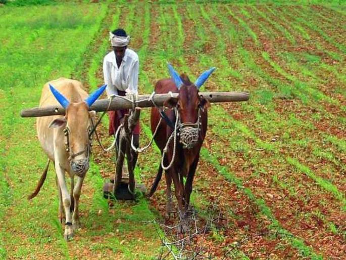 The fourth list of incentive grants has been released; Including only 450 farmers | प्रोत्साहन अनुदानाची चौथी यादी झळकली; केवळ ४५० शेतकऱ्यांचा समावेश