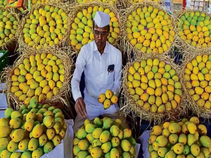 One has to wait for two months to taste the taste of Raigad mangoes | रायगडच्या आंब्याची चव चाखण्यासाठी करावी लागणार दोन महिने प्रतीक्षा One has to wait for two months to taste the taste of Raigad mangoes | रायगडच्या आंब्याची चव चाखण्यासाठी करावी लागणार दोन महिने प्रतीक्षा
