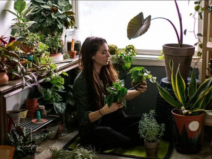 Can you talk to trees now?; A surprising research of scientists | काय सांगता! आता तुम्ही झाडांशी बोलू शकता?; वैज्ञानिकांचा हैराण करणारा रिसर्च Can you talk to trees now?; A surprising research of scientists | काय सांगता! आता तुम्ही झाडांशी बोलू शकता?; वैज्ञानिकांचा हैराण करणारा रिसर्च