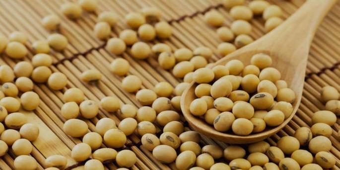 Soybean seed deals-booking turnover in billions; Artificial scarcity in Yavatmal district | सोयाबीन बियाणे सौदे-बुकींग उलाढाल कोट्यवधीत; यवतमाळ जिल्ह्यात कृत्रिम टंचाई Soybean seed deals-booking turnover in billions; Artificial scarcity in Yavatmal district | सोयाबीन बियाणे सौदे-बुकींग उलाढाल कोट्यवधीत; यवतमाळ जिल्ह्यात कृत्रिम टंचाई
