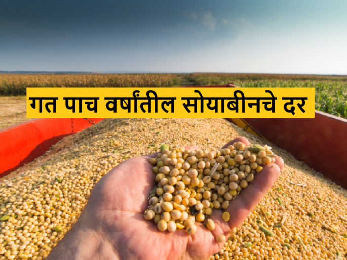 Latest News Soyabean bajarbhav last five years market price of soybeans Read in detail | Soyabean Market : यंदा सोयाबीनला कमी भाव असण्याचे कारण काय? दर कसे बदलत गेले? वाचा सविस्तर Latest News Soyabean bajarbhav last five years market price of soybeans Read in detail | Soyabean Market : यंदा सोयाबीनला कमी भाव असण्याचे कारण काय? दर कसे बदलत गेले? वाचा सविस्तर