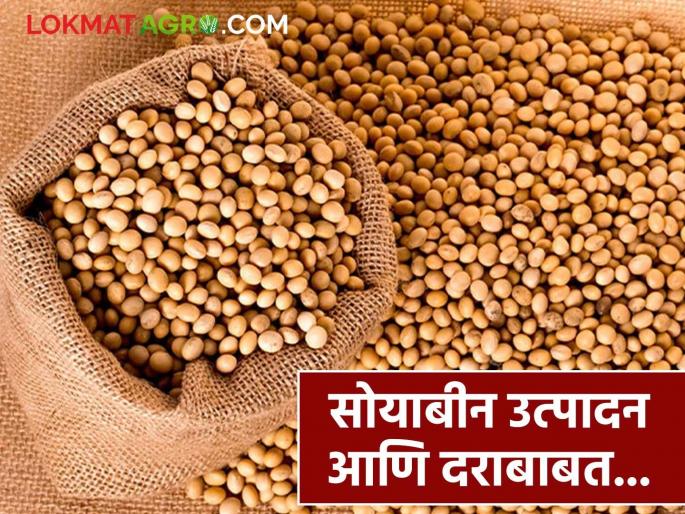 Latest News Soyabean crop prediction analysis of soybean sowing and production, market prices in 2025 | Soyabean Market : यंदा सोयाबीनचे उत्पादन कसे राहील, दर वाढतील का? जाणून घ्या सविस्तर  Latest News Soyabean crop prediction analysis of soybean sowing and production, market prices in 2025 | Soyabean Market : यंदा सोयाबीनचे उत्पादन कसे राहील, दर वाढतील का? जाणून घ्या सविस्तर